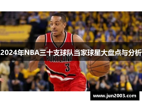 2024年NBA三十支球队当家球星大盘点与分析